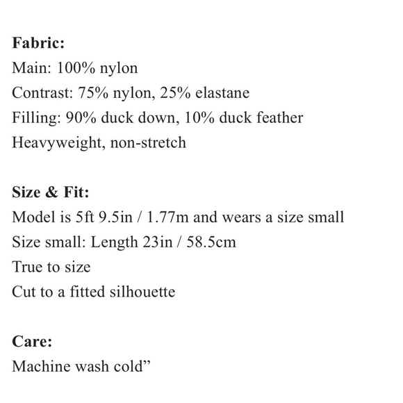 49 Winters Metallic Boxy Hooded Down Puffer Jacket 3 Large NWT $515 - Picture 5 of 11